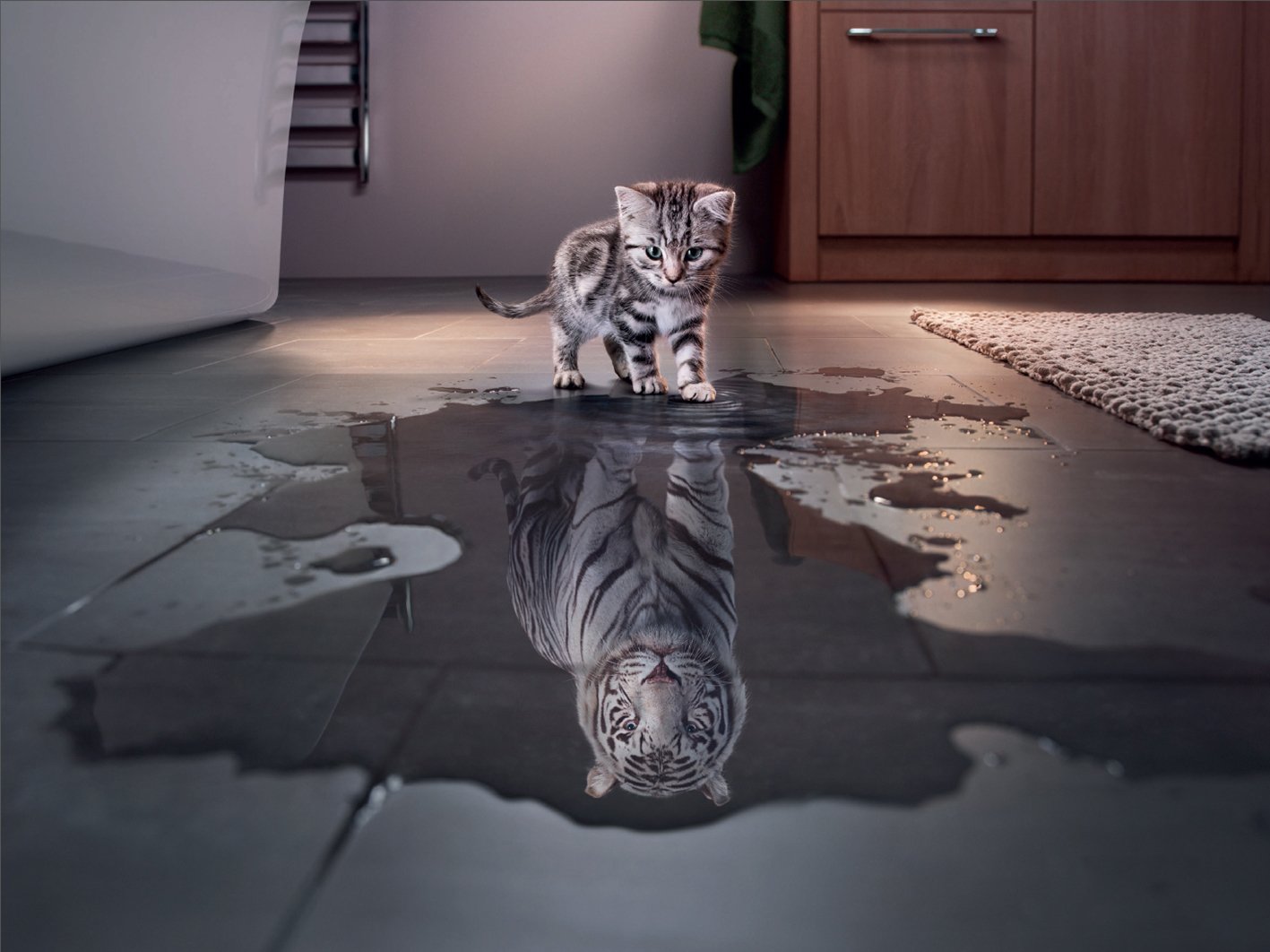 Kitten looking at reflection as tiger
